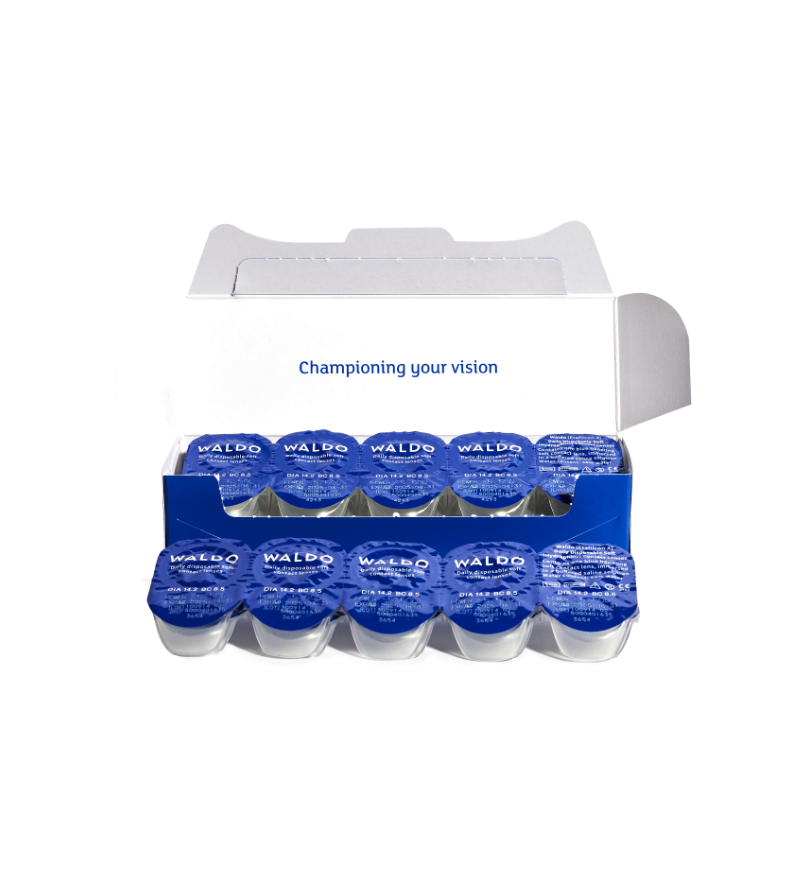 Daily Contact Lenses